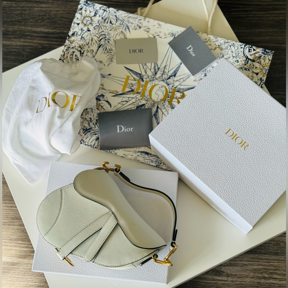 Dior mini saddle bag